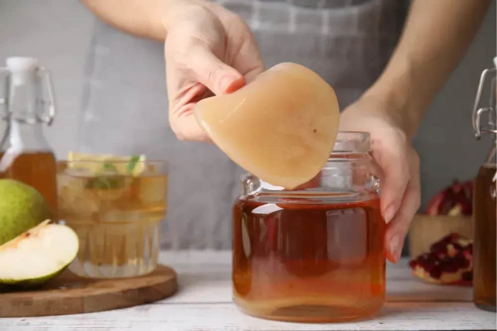 Kombucha: Jak wyhodować domową kulturę SCOBY krok po kroku
