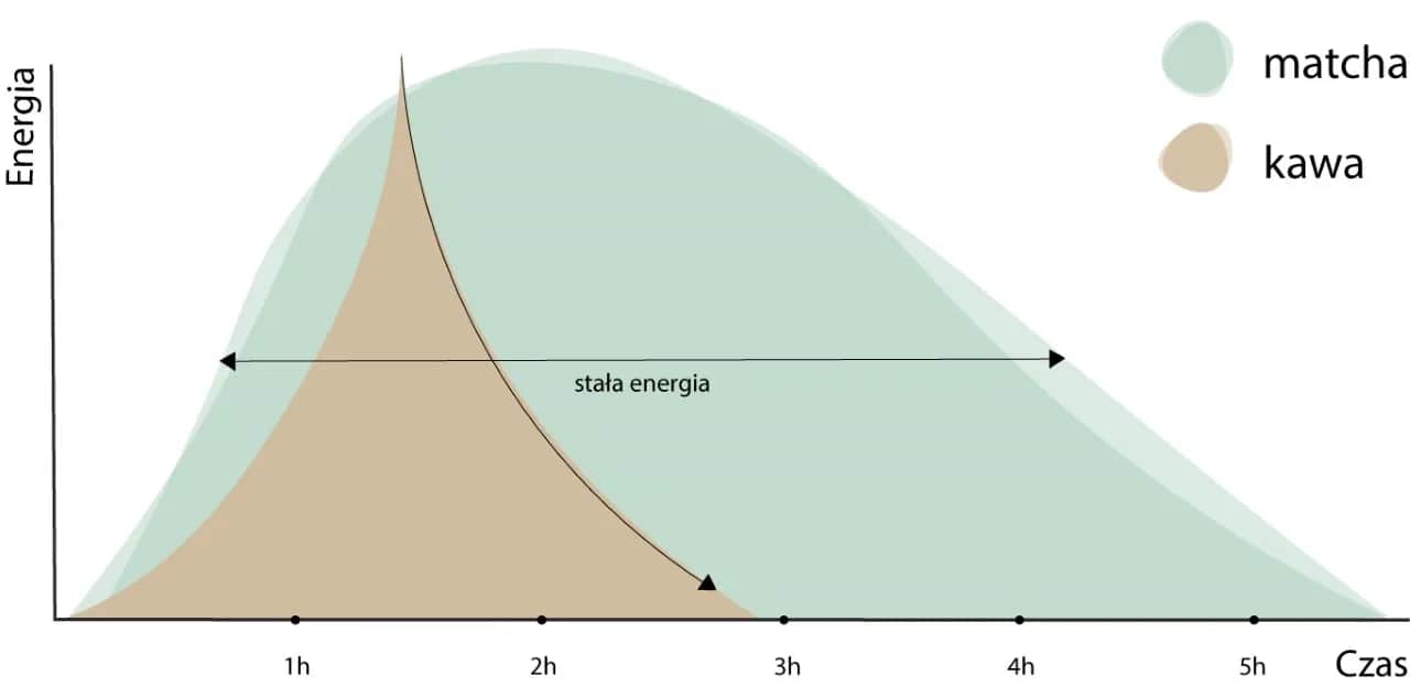 Matcha a kofeina: czy działa inaczej niż kawa?