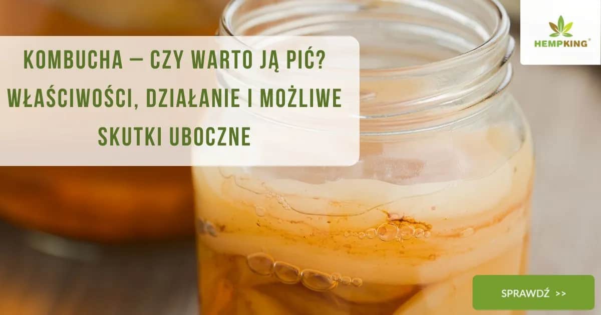 Kombucha: Korzyści, ryzyko i czy warto ją pić?