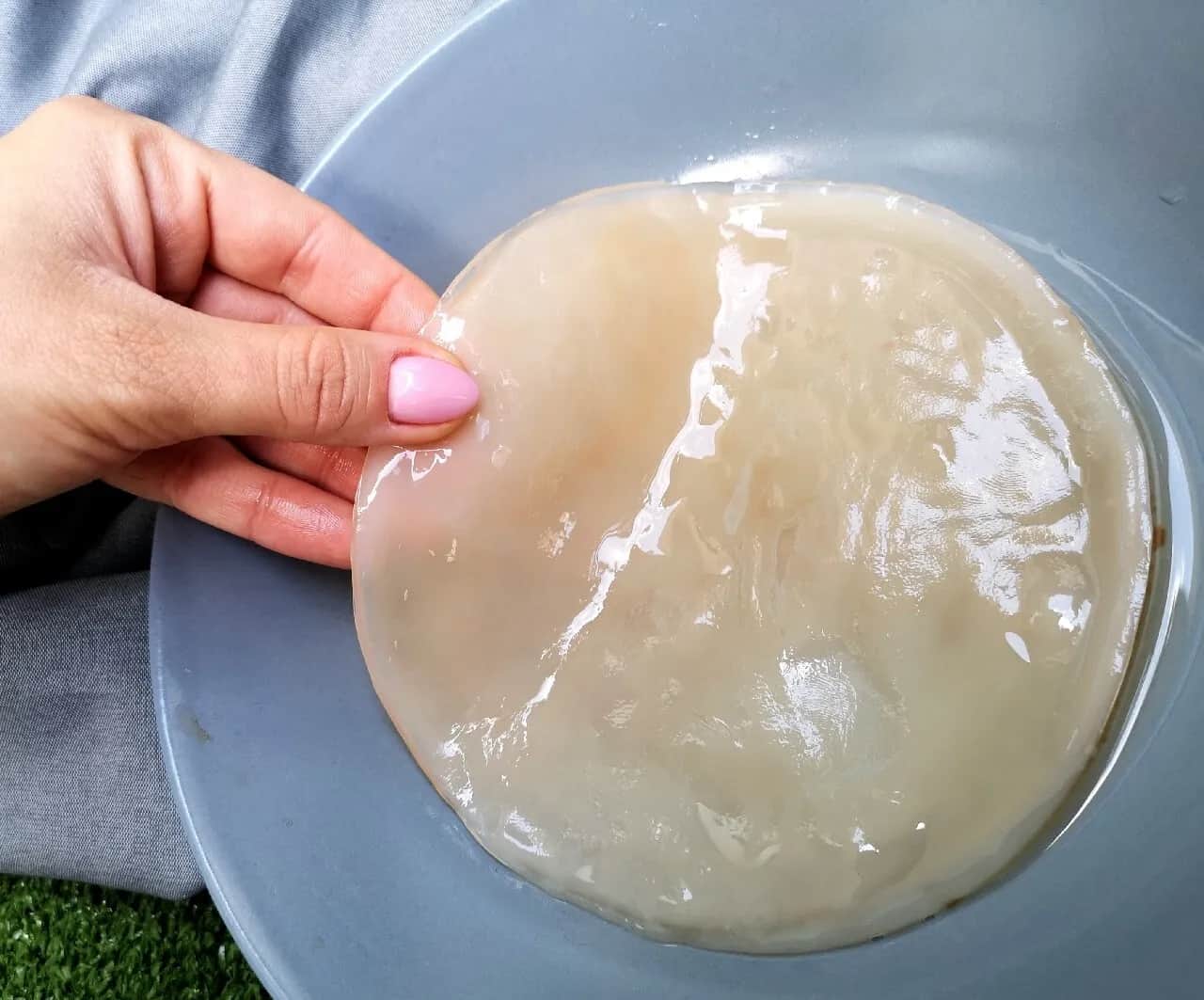 Gdzie kupić grzybek kombucha? Sprawdzone miejsca i ceny