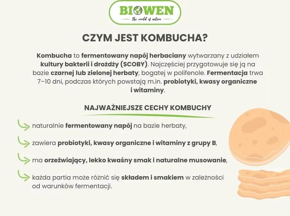 Kombucha: jak przechowywać w lodówce, by była świeża i bezpieczna?
