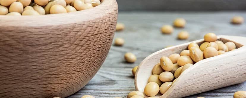 Lecytyna sojowa: co to jest, właściwości, zastosowanie i bezpieczeństwo